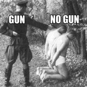 Meet your Posher, Mickey